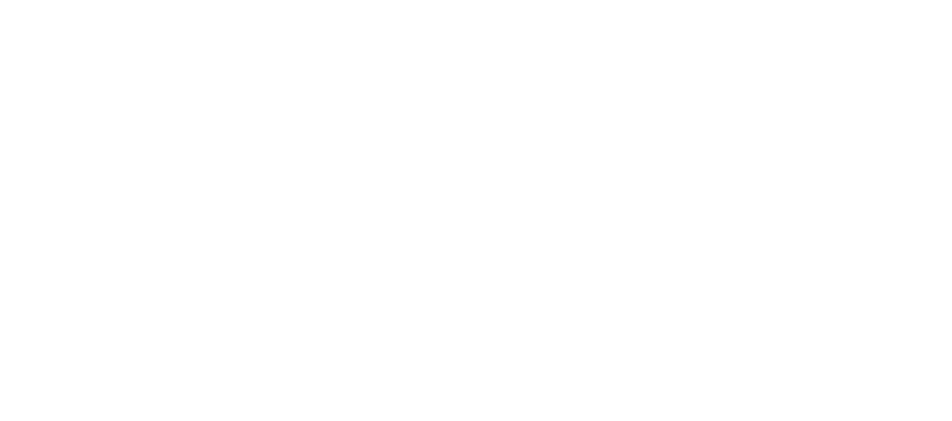 Nimr International SPC Logo